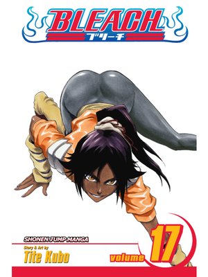 cover image of Bleach, Volume 17